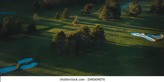 Aerial Photo Of Trees On A Gold Course 