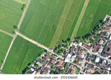 Aerial Photograph Appearance, Differences In Land Use Between Rice Fields And Settlements