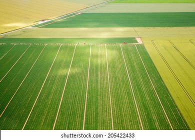 282,690 Agriculture Photography Images, Stock Photos & Vectors ...