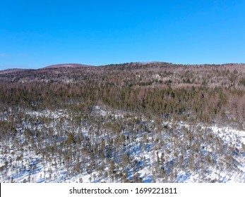 Aerial Photograph Of The Boreal Forest On A Beautiful Winter Day