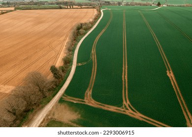 Aerial photograph captures the patchwork of green and yellow fields on the Irish countryside. A winding country road and tractor mark can be seen traversing the lush landscape. - Powered by Shutterstock