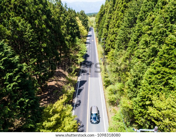 Aerial photograph of a car running on a straight\
forest road.