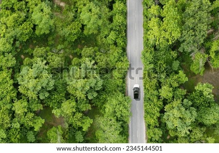 Aerial photograph, Green forest with road