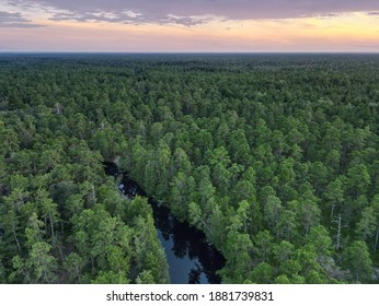 Aerial Photograph of the New Jersey Pine Barrens and Mullica River - Shutterstock ID 1881739831