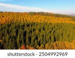 Aerial photograph showcasing a vibrant autumn forest featuring a diverse mix of green pine trees and golden foliage. the layers of color highlight the natural transition from summer to fall