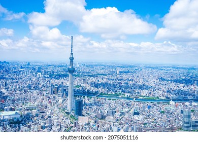 Aerial Photograph Of Tokyo Sky Tree