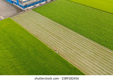 Aerial Photography Agriculture Field Farm