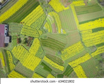 Aerial photography bird eye view of land farmland and nature landscape