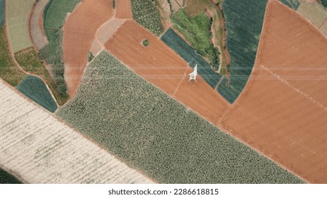 Aerial photography of pineapple fields - Shutterstock ID 2286618815