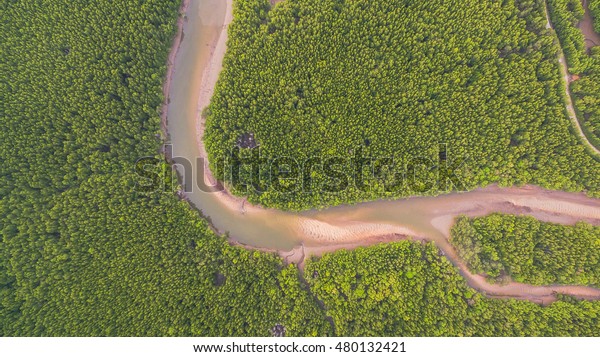 aerial photography a small
fishing village name BanSamchong  in Phang Nga province cover by
pine forest in front of village have pier for transport to Andaman
sea. 