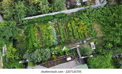 Aerial Photography Of The Vegetable Garden