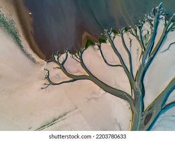 Aerial Photography Of Wetlands And Rivers