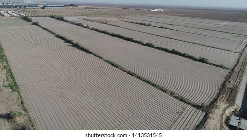 Aerial Photography Of Xinjiang Cotton Fields