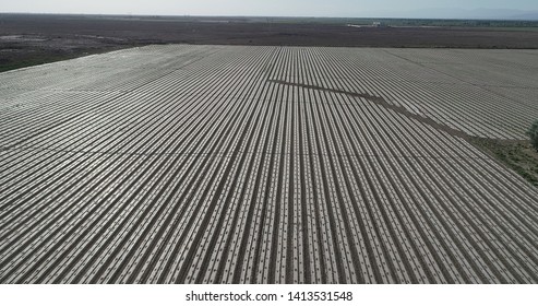 Aerial Photography Of Xinjiang Cotton Fields