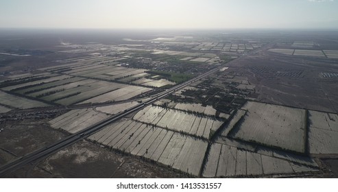 Aerial photography of Xinjiang cotton fields