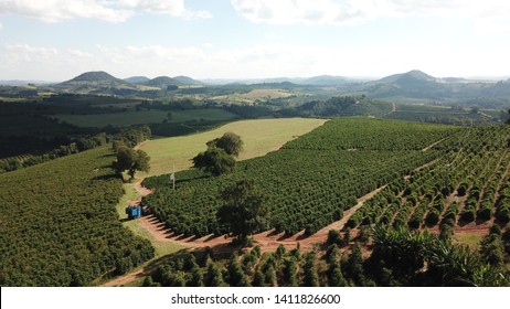 Aerial Photos Of Coffee Farm