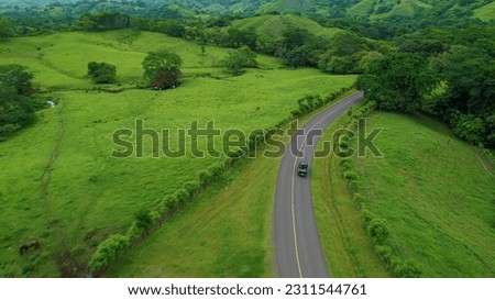 AERIAL: Pickup truck with locals passing by green meadow with grazing cattle. Car driving on a winding asphalt country road leading through exotic landscape. Commuting in remote tropical locations.