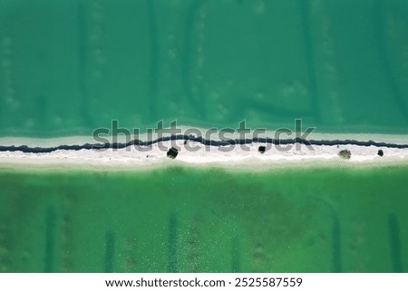Aerial picture of salty lakes in Western Australia. Amazing geometric shapes and straight lines view from the sky, green colors. Drone footage, salt lake, sand and a tree. Perfect background picture.