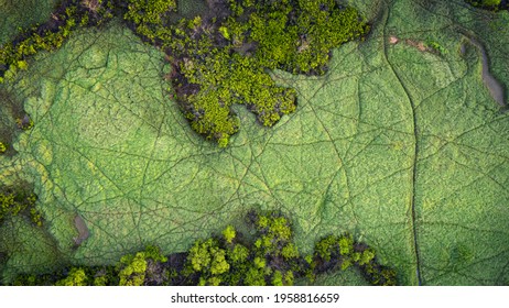 Aerial Plan View Of Ross River