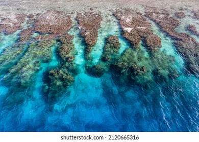 aerial reef with transparent turquoise waters in Utila Honduras