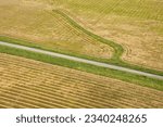 Aerial of rows in agricultural cropland.