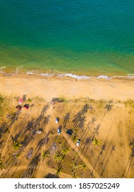 Aerial Scene At Beach Weekend With Palm Tree Shadow