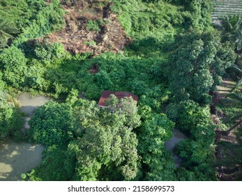 Aerial Scene Of The Old Abandoned House Inside The Overgrown Bushes And Trees.