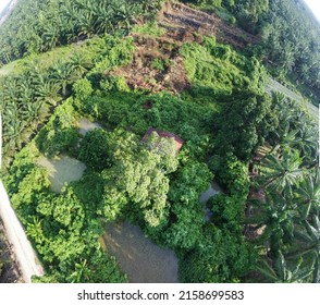 Aerial Scene Of The Old Abandoned House Inside The Overgrown Bushes And Trees.