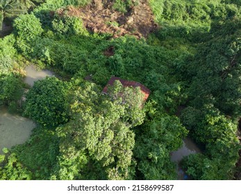 Aerial Scene Of The Old Abandoned House Inside The Overgrown Bushes And Trees.