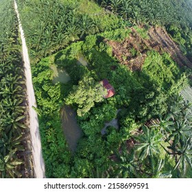 Aerial Scene Of The Old Abandoned House Inside The Overgrown Bushes And Trees.