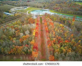 Aerial Scenic View Of Versailles Surroundings, Paris, France