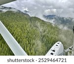 Aerial seaplane view of Mystic Fjords Saxman Alaska Forest View