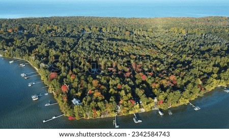 An aerial of the shoreline of Mullett lake in Cheboygan County in Michigan, USA with dense vegetation