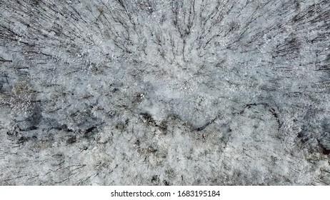 Aerial Shot Above Forest In Winter Time