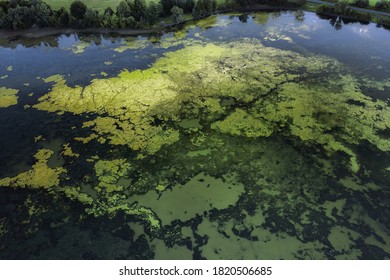 An Aerial Shot Of Algal Bloom On A Lake