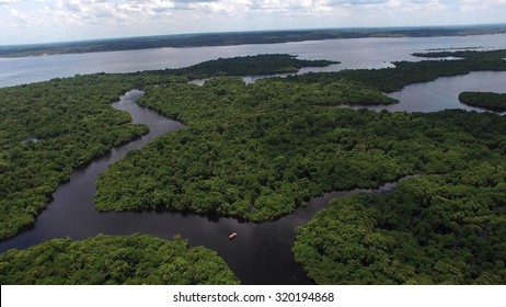 Aerial Shot Of Amazon Rainforest In Brazil, South America