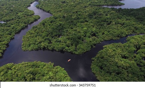 Aerial Shot Of Amazon Rainforest In Brazil, South America