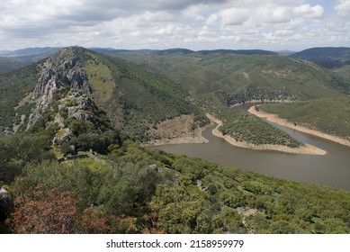 An Aerial Shot Of A Beautiful Forest In Extremadura, Spain