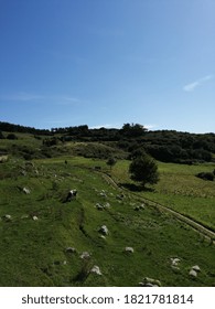 An Aerial Shot Of Beautiful Grassy Field In The Countryside