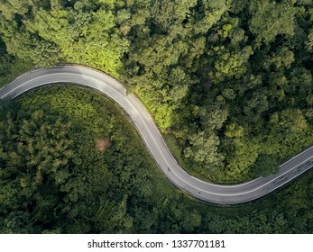 Aerial Shot Of Beauty Forest Nature Landscape With Road. 