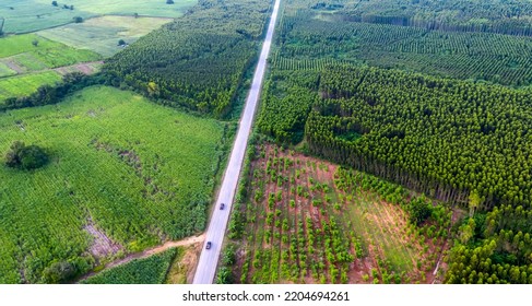 Aerial Shot Of Beauty Forest Nature Landscape With Road.