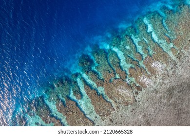 Aerial Shot Of A Coastal Reef In The Bay Islands Honduras