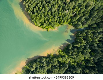 Aerial shot. Dense coniferous forest on the sandy bank of a turquoise river. Bright sunny day. Fishing, swimming, bathing. - Powered by Shutterstock