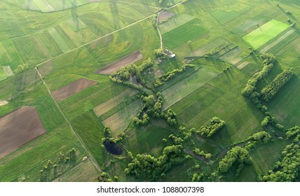 Aerial Shot From The Drone - Spring Fields