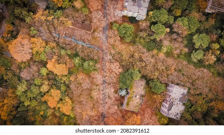 Aerial Shot Of Forest In Autumn. Old Buildings In Forest Aerial Shot.