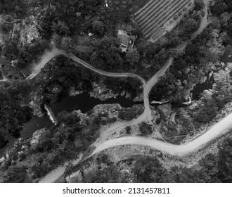 Aerial Shot Forest Path Trees Black White 