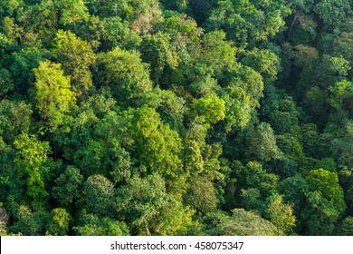 Aerial Shot Of A Lush Tropical Forest 2