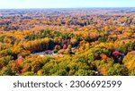 An aerial shot of a road hidden among colorful fall trees in Greensboro, NC Piedmont Triad