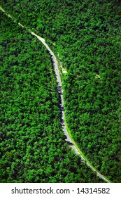 Aerial Shot Of Road Snaking Through Green Trees