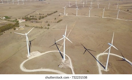 Aerial shot of sandy desert with placed rows of white windmills creating electrical power in bright tropical sunlight.